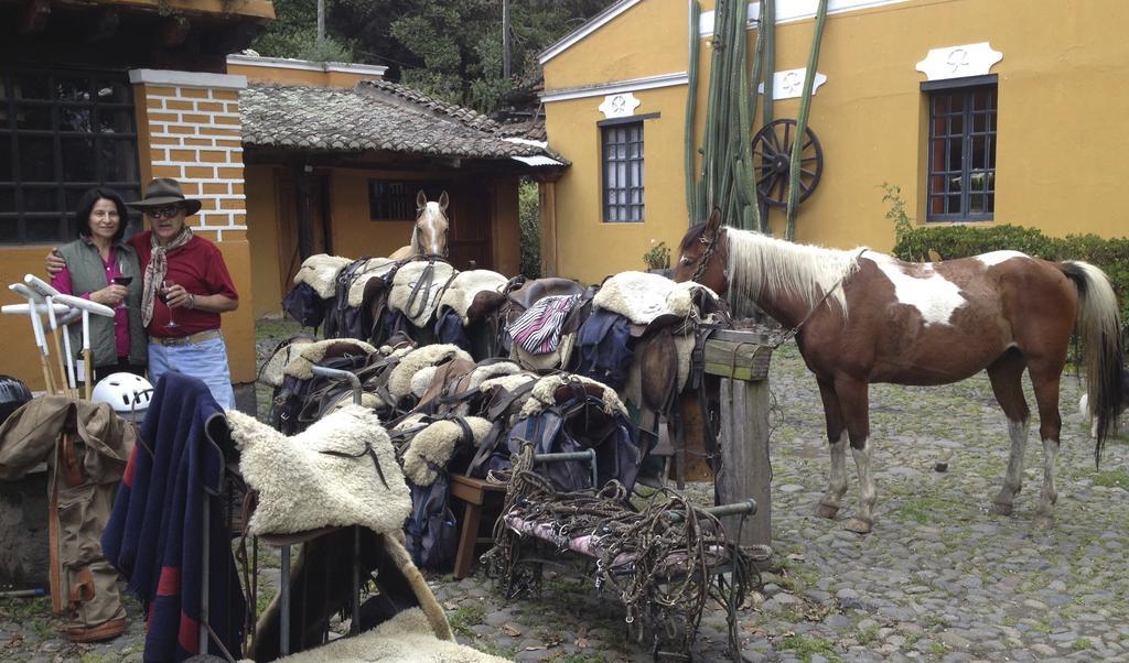 Hacienda La Alegria 호텔 외부 사진