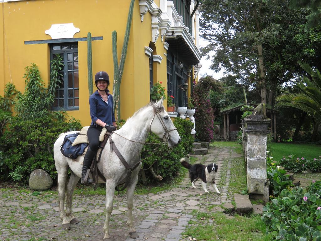 Hacienda La Alegria 호텔 외부 사진