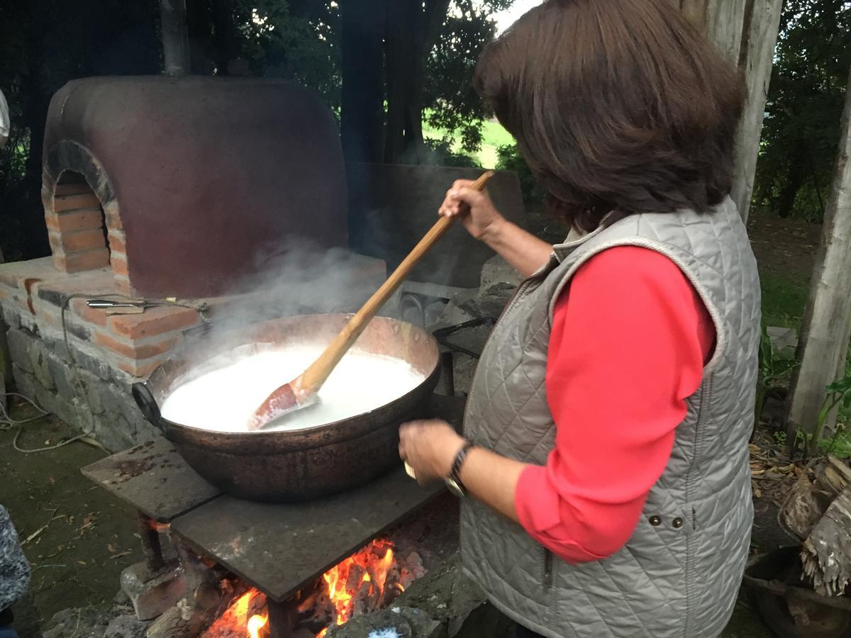 Hacienda La Alegria 호텔 외부 사진